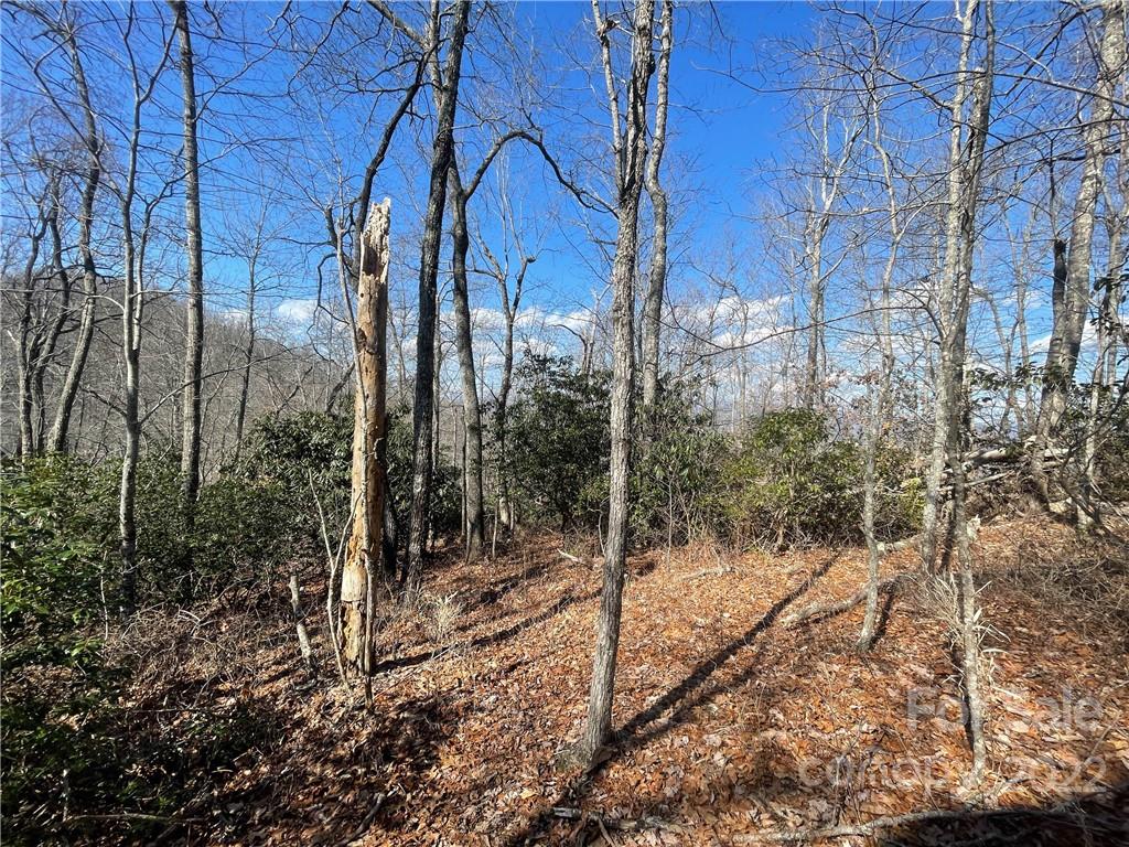 41 Pepperbush Road Brevard, NC 28712 - Photo 4 of 10 Gallery Image 4