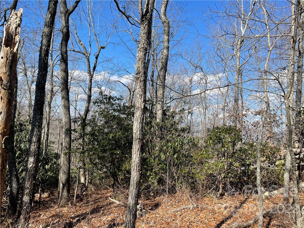 41 Pepperbush Road Brevard, NC 28712 - Photo 5 of 10 Gallery Image 5