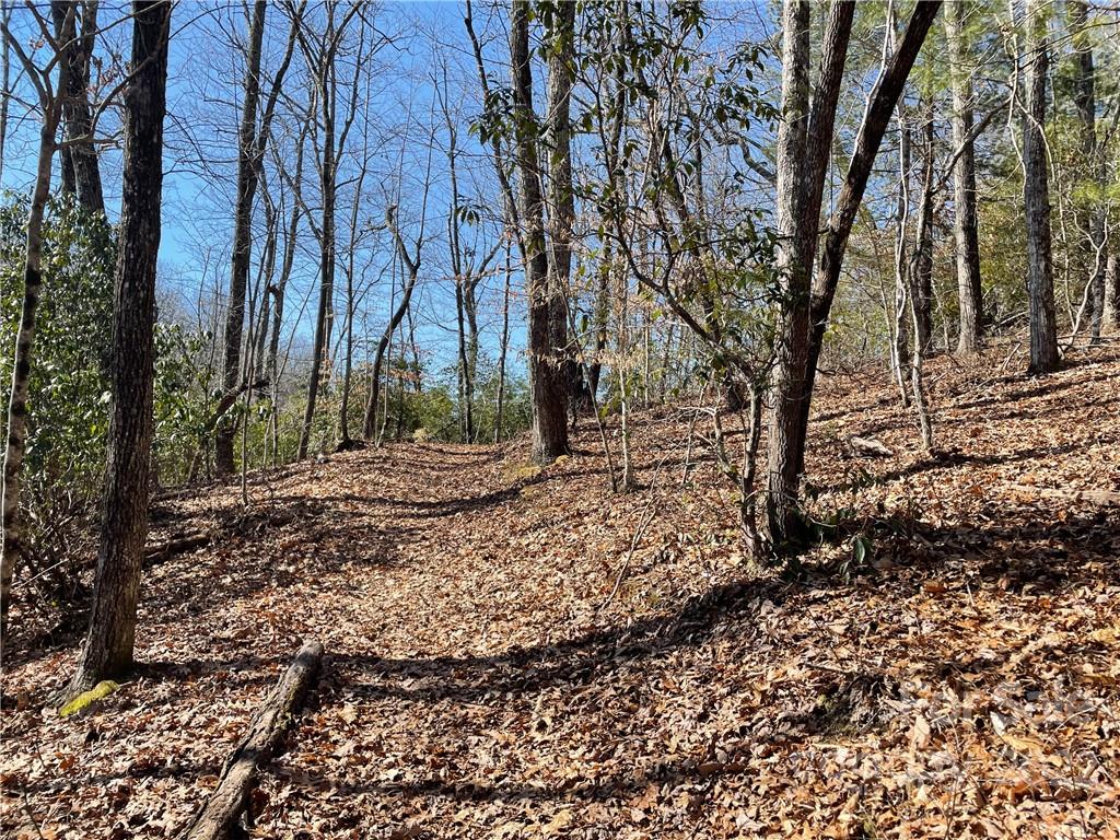 41 Pepperbush Road Brevard, NC 28712 - Photo 8 of 10 Gallery Image 8