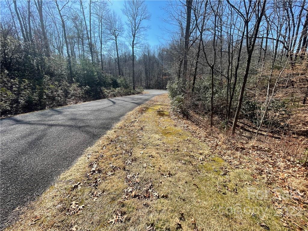 41 Pepperbush Road Brevard, NC 28712 - Photo 9 of 10 Gallery Image 9