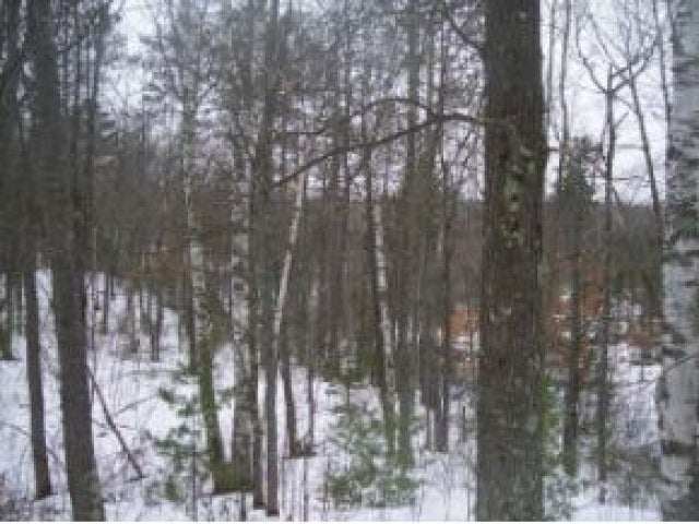 Lot 2 Shoreview Drive Rhinelander, WI 54501 - Photo 2 of 4 Gallery Image 2