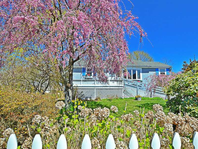 78 Midland Road Charlestown, RI 02813 - Photo 14 of 18 Exterior Back. Beautiful mature trees and gardens