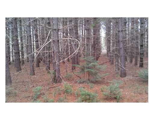 Lot 3 Pine Road Hersey, ME 04765 - Photo 3 of 6 Land/Lot.