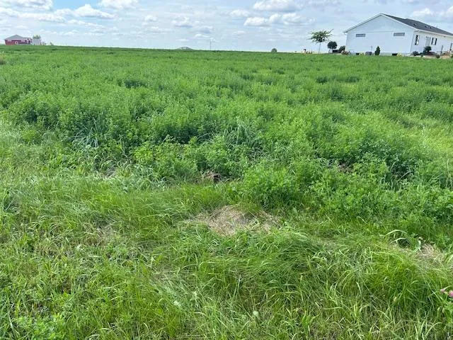 $29,850 | 1508 Diamond Drive, Marshall, MN 56258