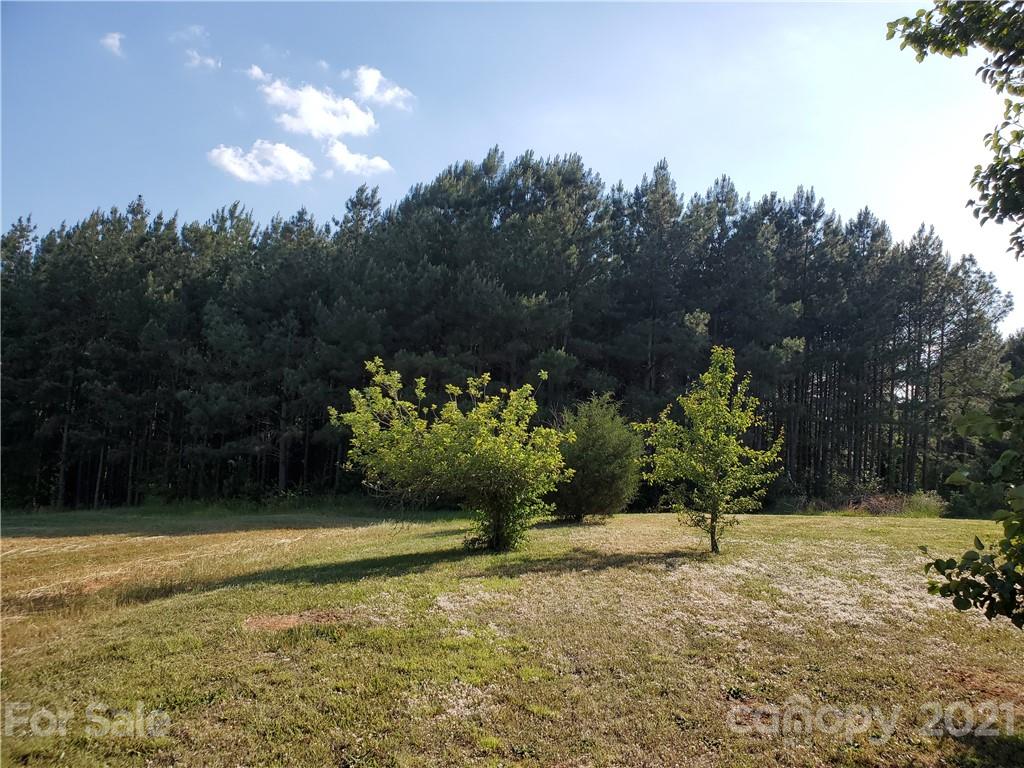 226 Buck Collins Road Forest City, NC 28043 - Photo 40 of 43 Gallery Image 40