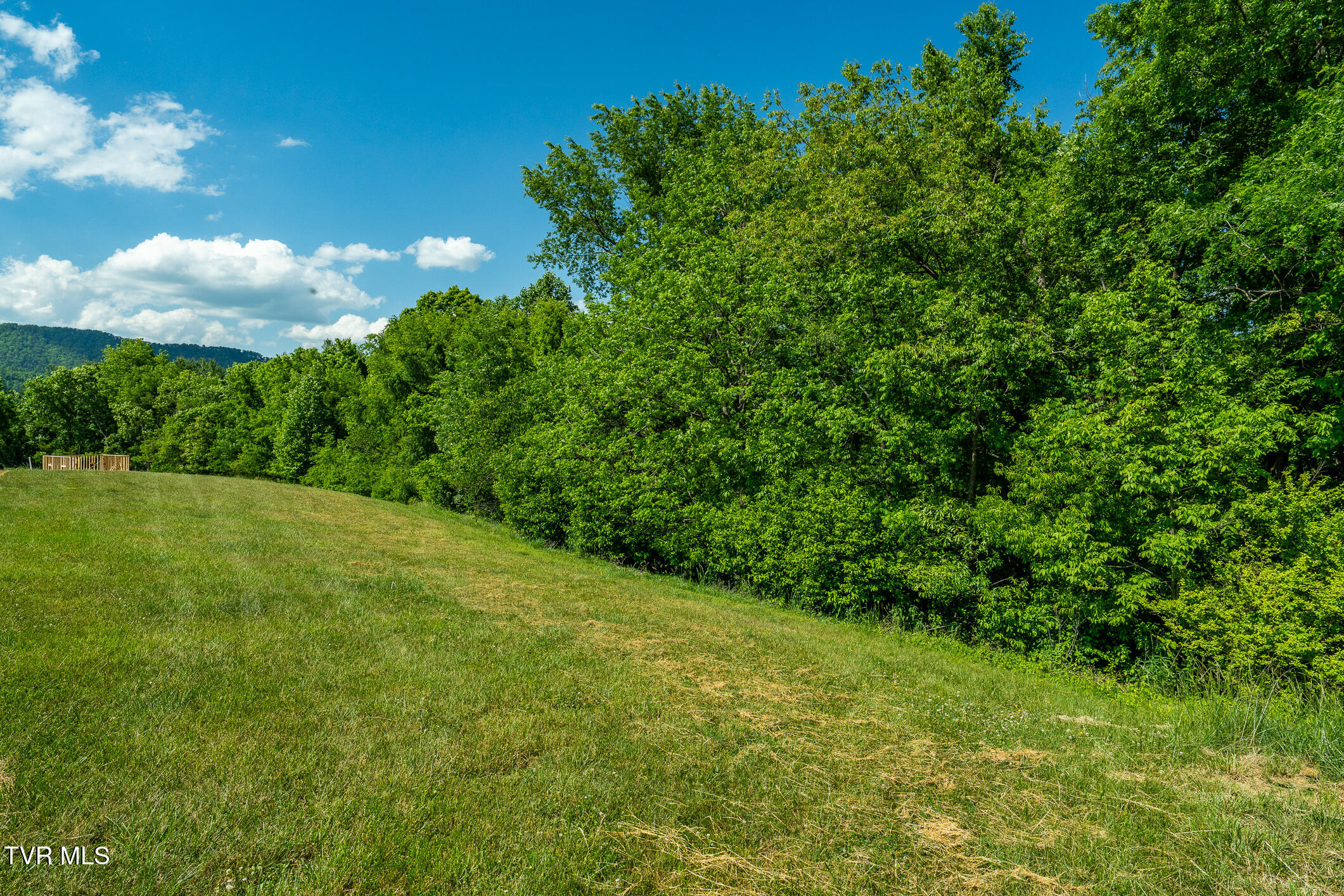 Tbd Deer Ridge Court, Unit LOT 6 Butler, TN 37640 - Photo 29 of 33 DEER RIDGE CT (30 of 34)