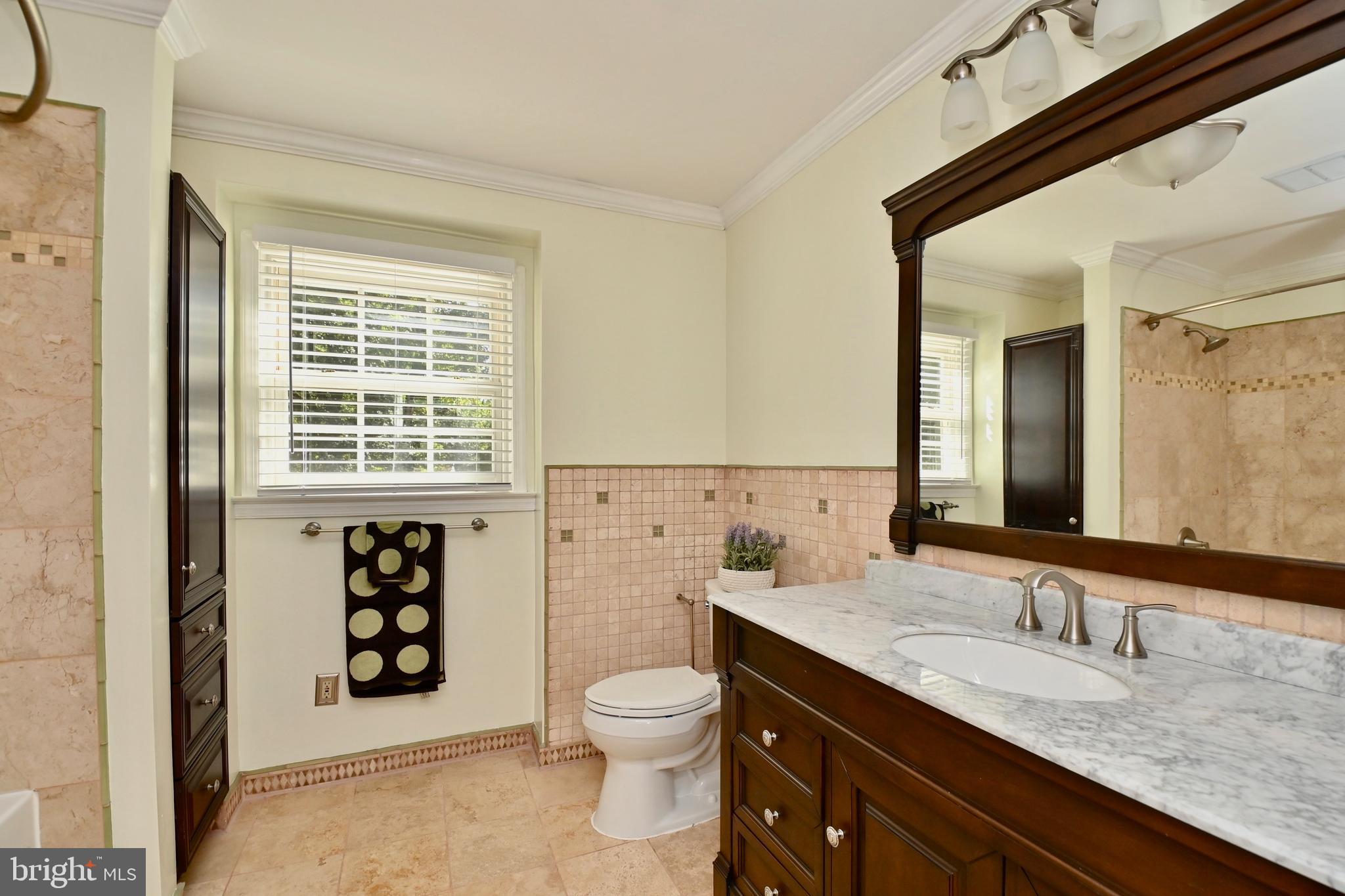 4319 Old Mill Road Alexandria, VA 22309 - Photo 17 of 86 a bathroom with a granite countertop sink toilet a mirror and a shower
