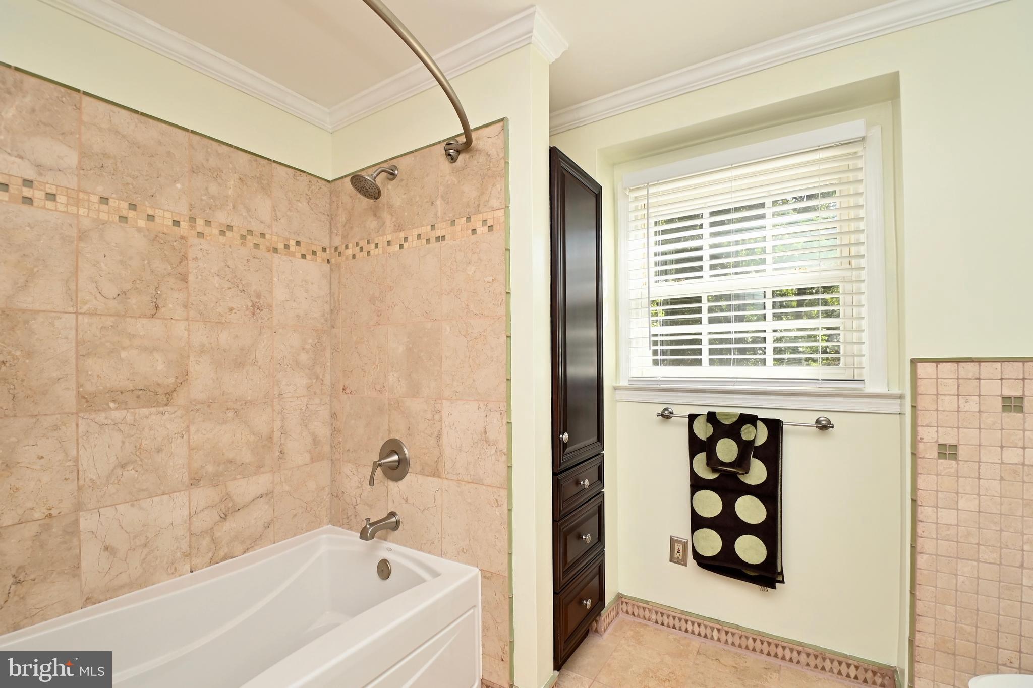 4319 Old Mill Road Alexandria, VA 22309 - Photo 18 of 86 a bathroom with a bathtub and shower
