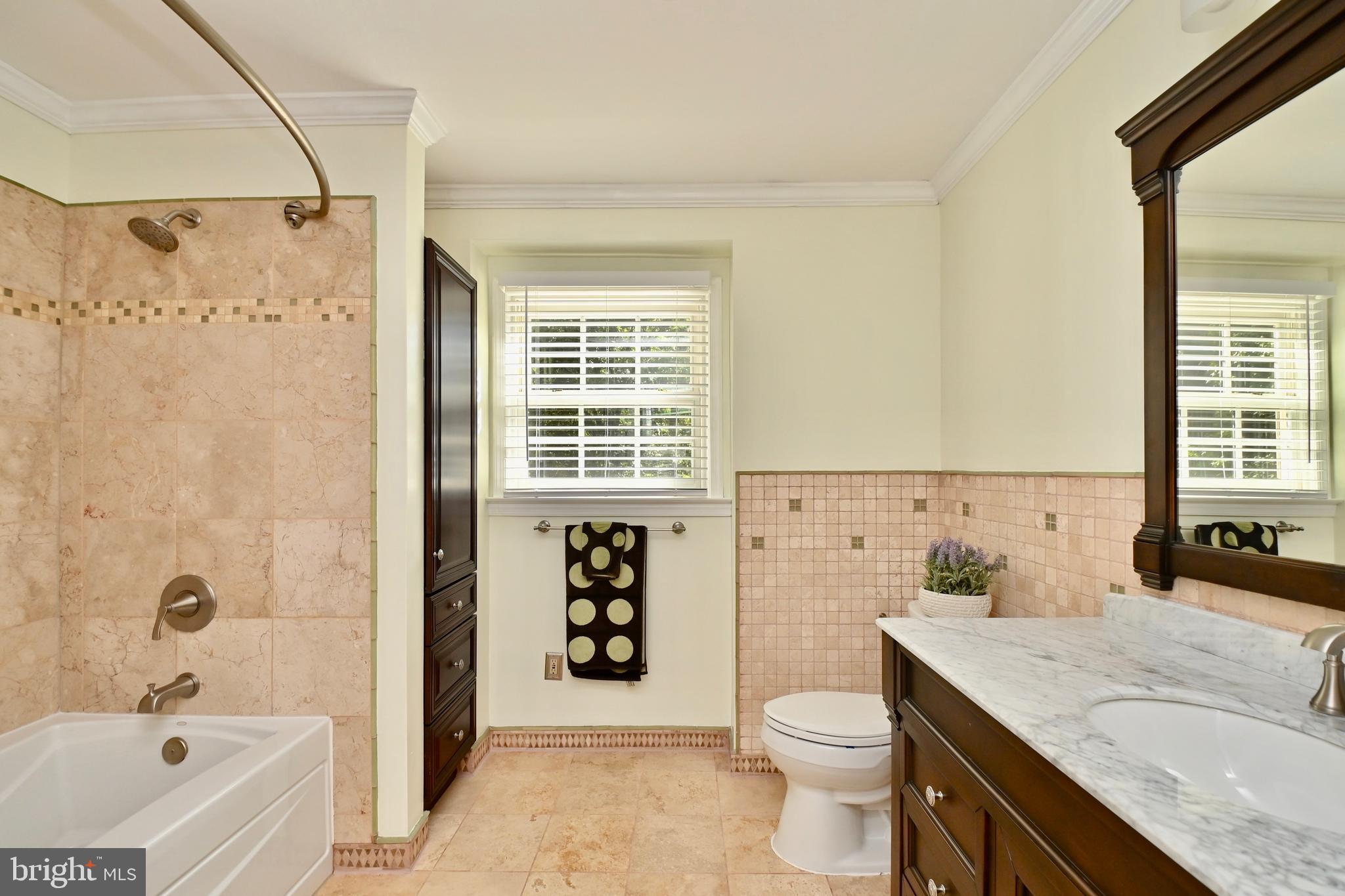 4319 Old Mill Road Alexandria, VA 22309 - Photo 24 of 86 a bathroom with a granite countertop sink a toilet a shower and a bathtub