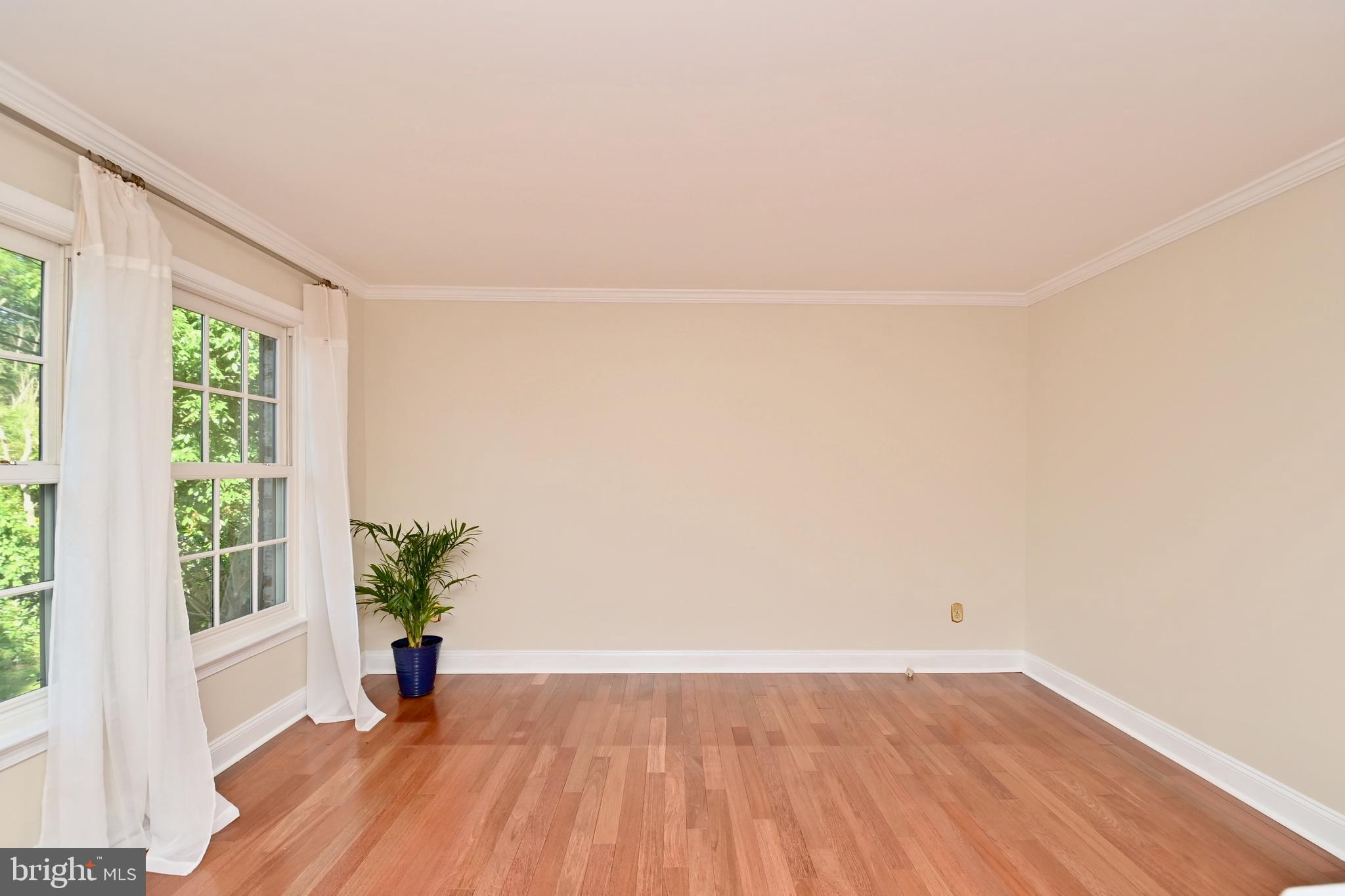 4319 Old Mill Road Alexandria, VA 22309 - Photo 39 of 86