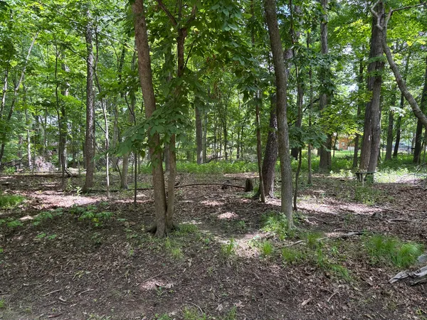 $16,000 | 1101-1102 Jay Court, Varna, IL 61375