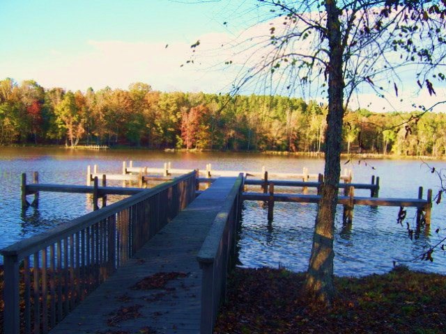 529 Terrapin Pointe Road Hodges, SC 29653 - Photo 5 of 12