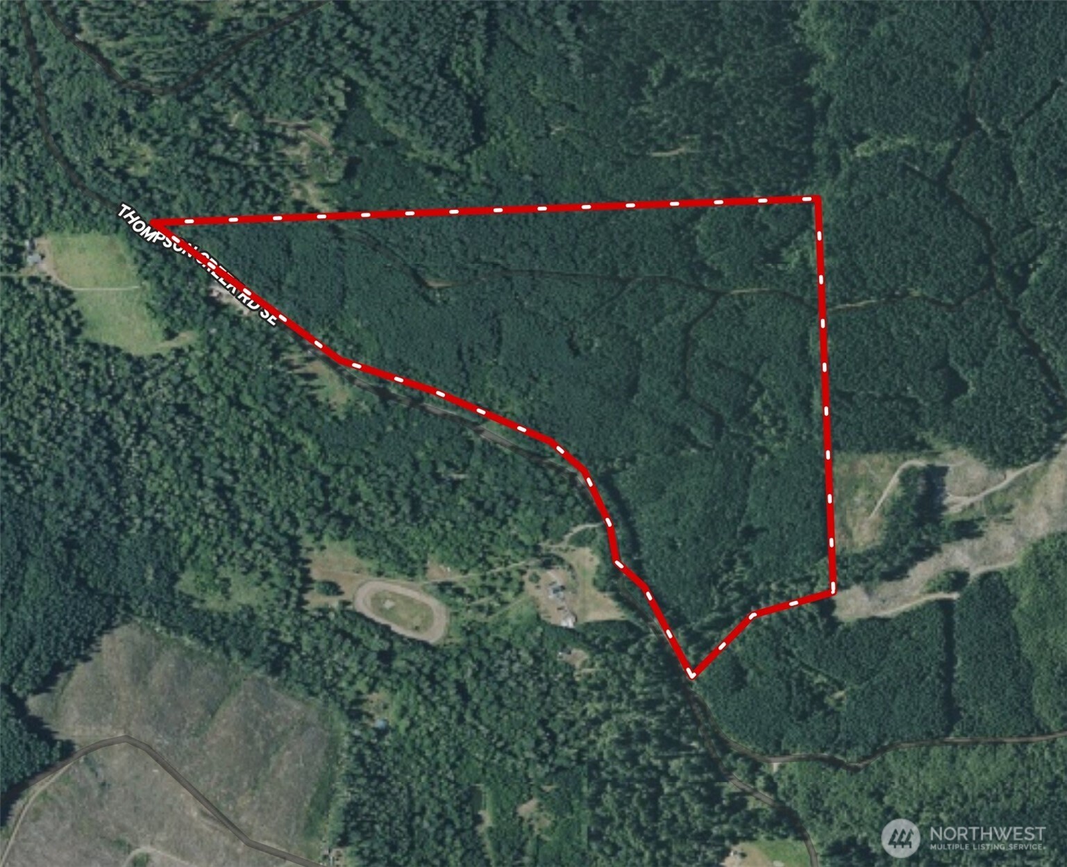 217-xx Thompson Creek Road Southeast Tenino, WA 98589 - Photo 2 of 12 a view of a flower arrangement in a backyard