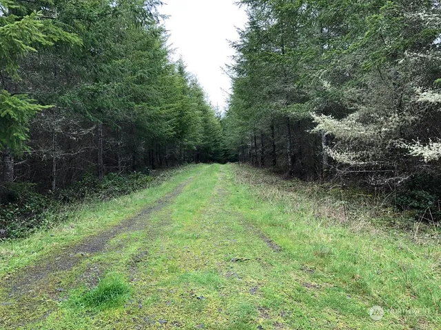 a view of backyard with green space