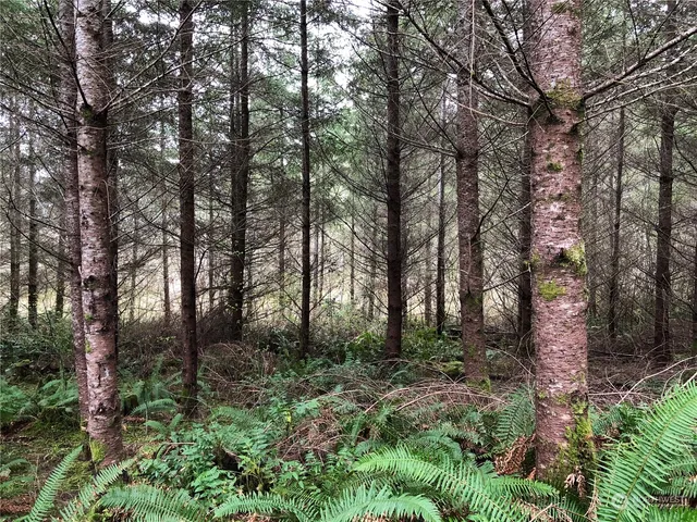 a view of outdoor space and green space