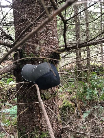 a picture of door and outdoor space