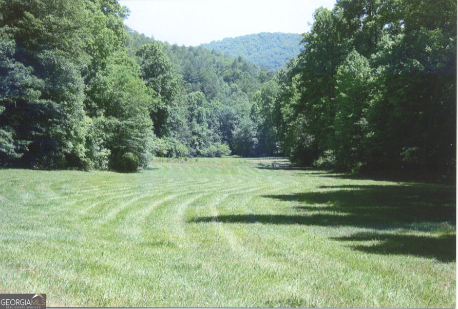 a view of a field of grass and trees