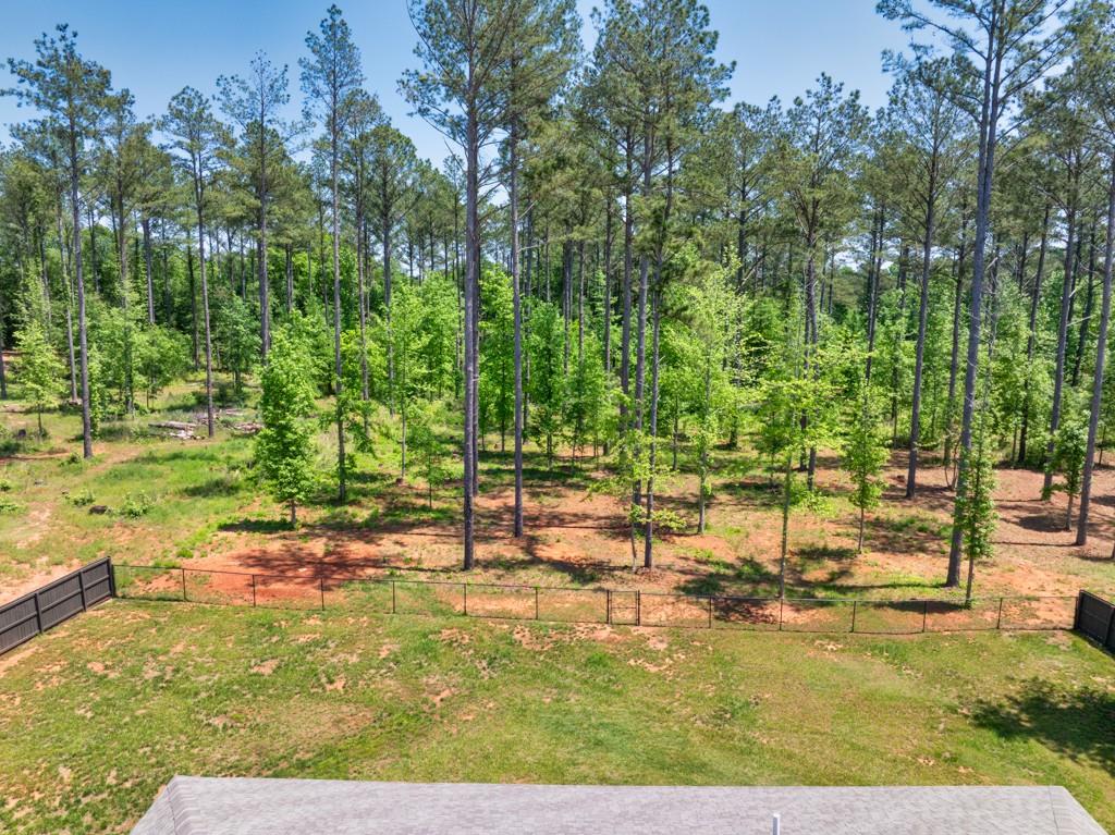 233 Jim Daws Road Monroe, GA 30655 - Photo 29 of 30