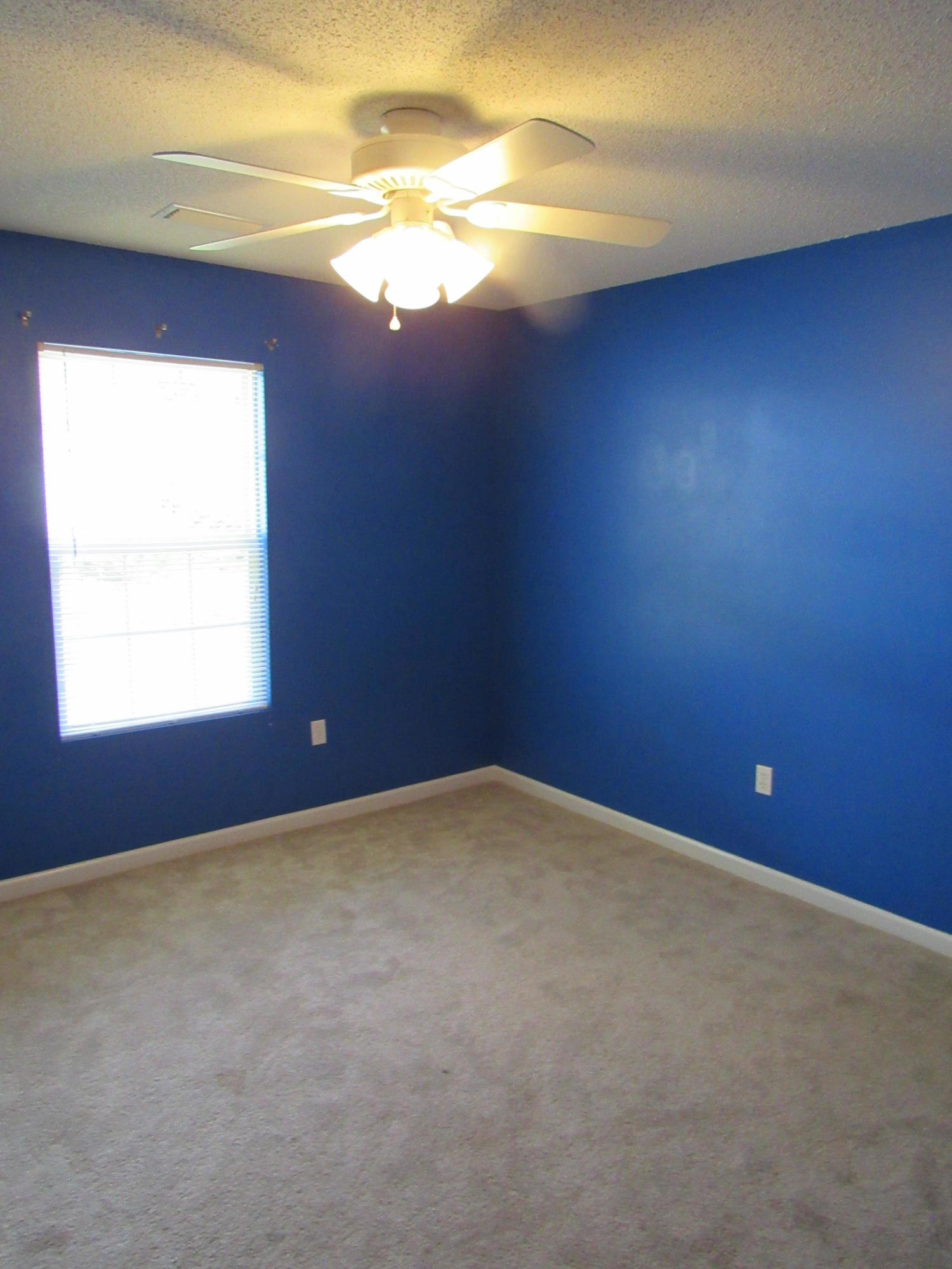 5208 Moore Loop Crestview, FL 32536 - Photo 30 of 37