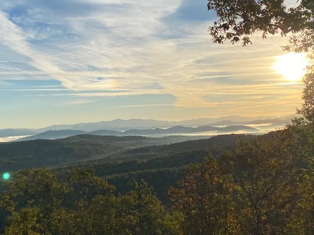 220 Eagles Ridge Morganton, GA 30560 - Photo 3 of 50