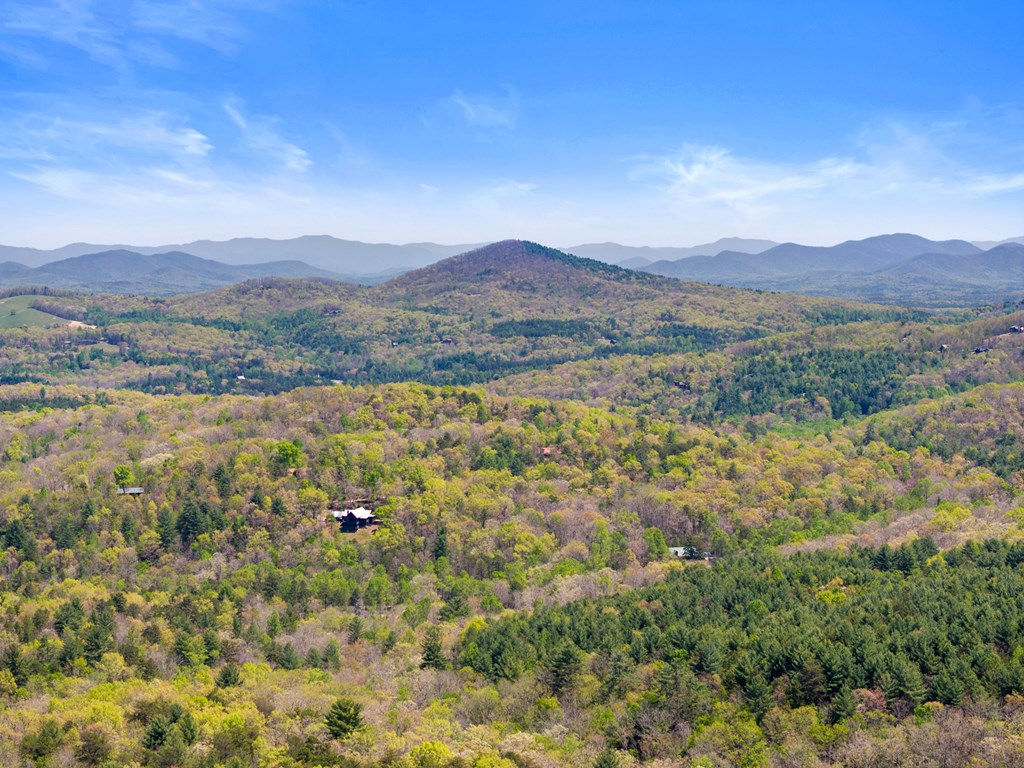 220 Eagles Ridge Morganton, GA 30560 - Photo 36 of 50