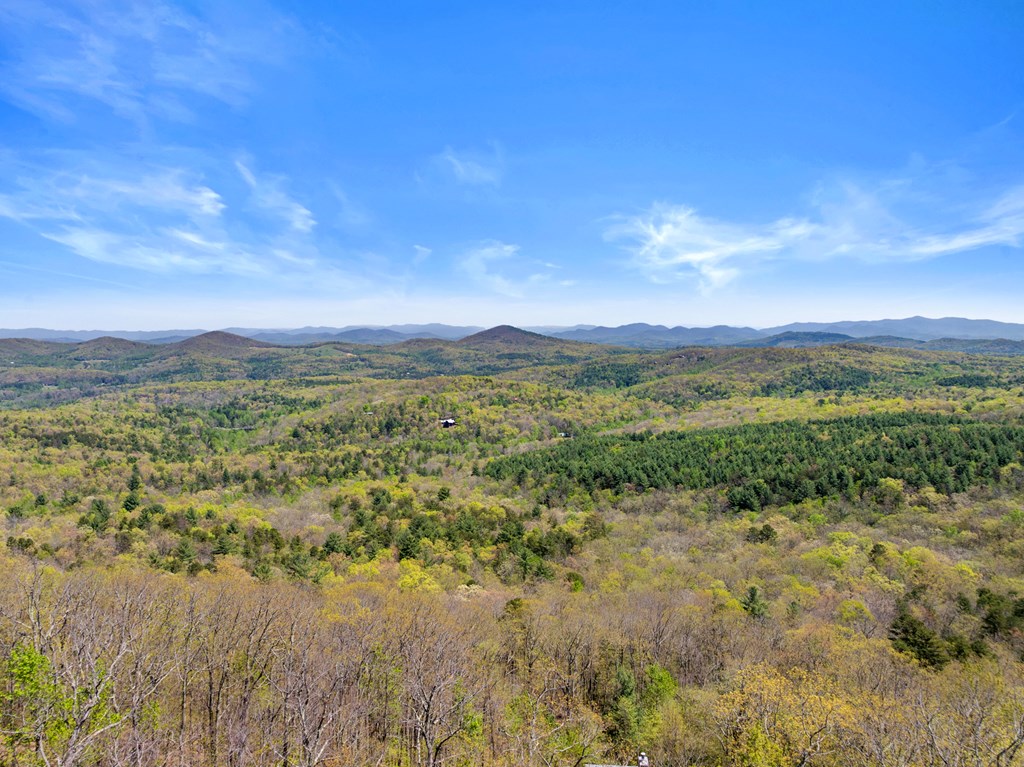 220 Eagles Ridge Morganton, GA 30560 - Photo 37 of 50