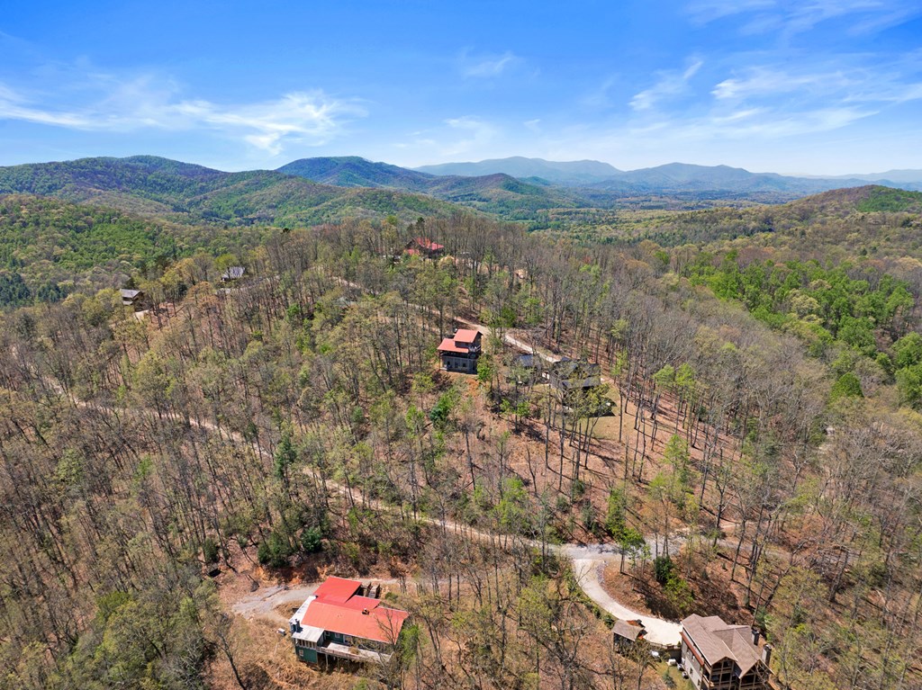 220 Eagles Ridge Morganton, GA 30560 - Photo 39 of 50