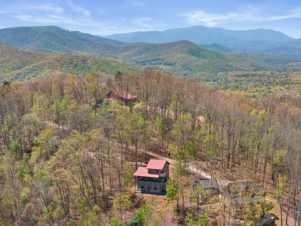 220 Eagles Ridge Morganton, GA 30560 - Photo 40 of 50