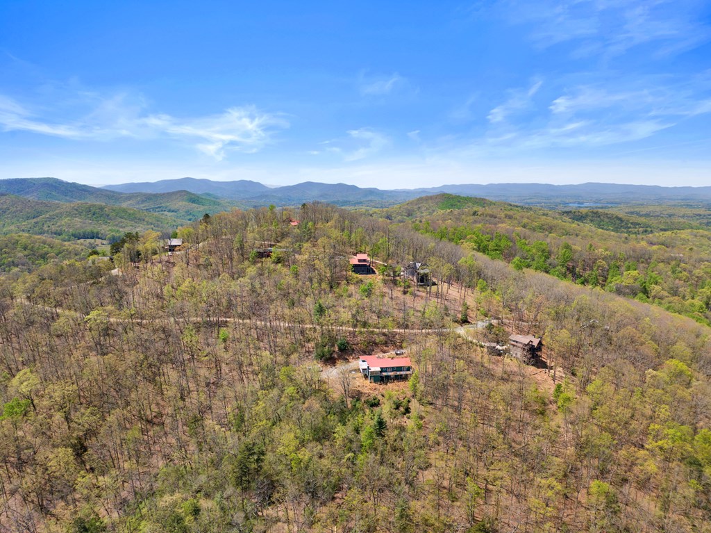 220 Eagles Ridge Morganton, GA 30560 - Photo 42 of 50