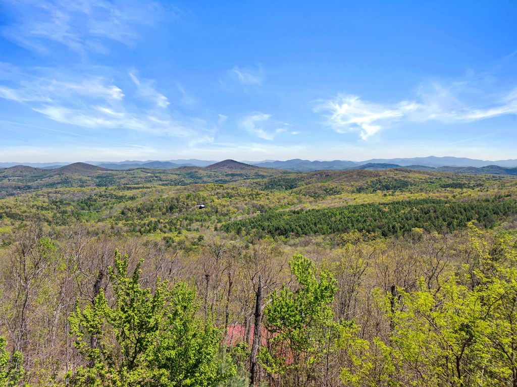 220 Eagles Ridge Morganton, GA 30560 - Photo 43 of 50