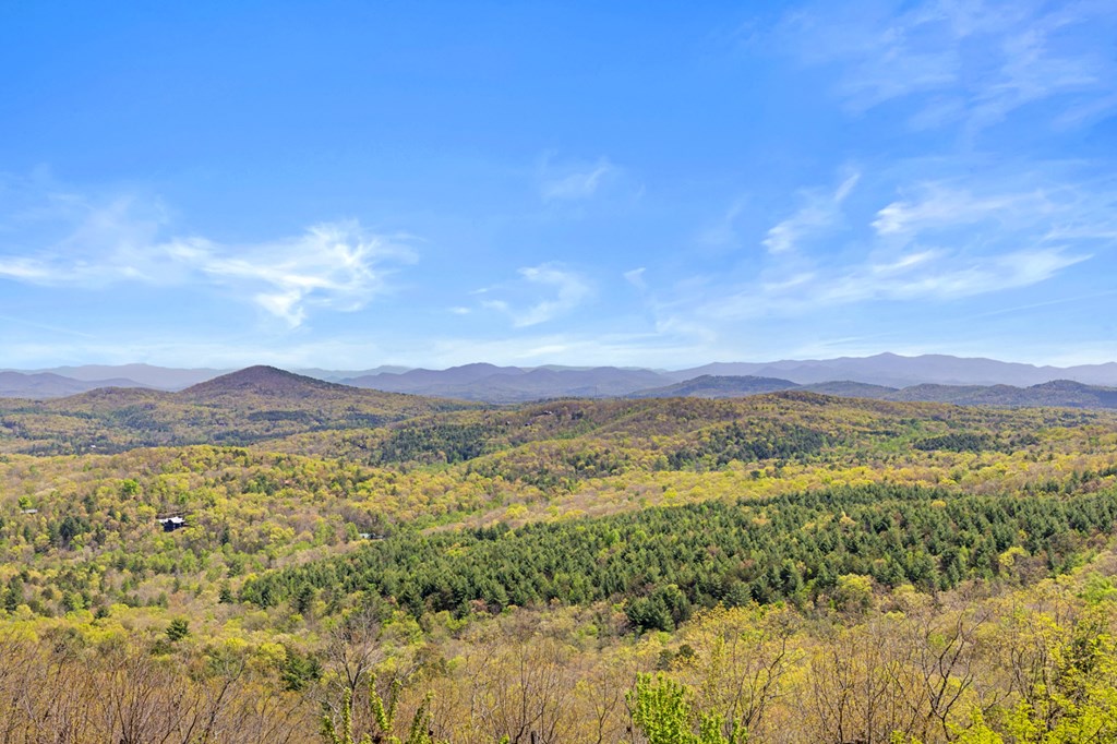 220 Eagles Ridge Morganton, GA 30560 - Photo 44 of 50