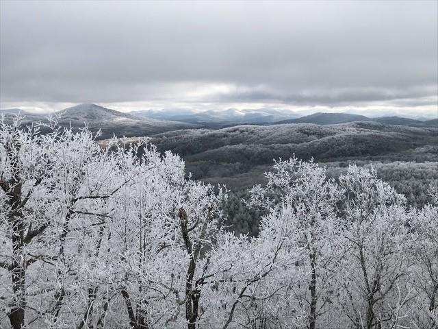 220 Eagles Ridge Morganton, GA 30560 - Photo 47 of 50
