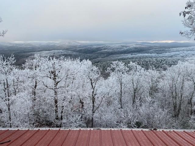 220 Eagles Ridge Morganton, GA 30560 - Photo 48 of 50