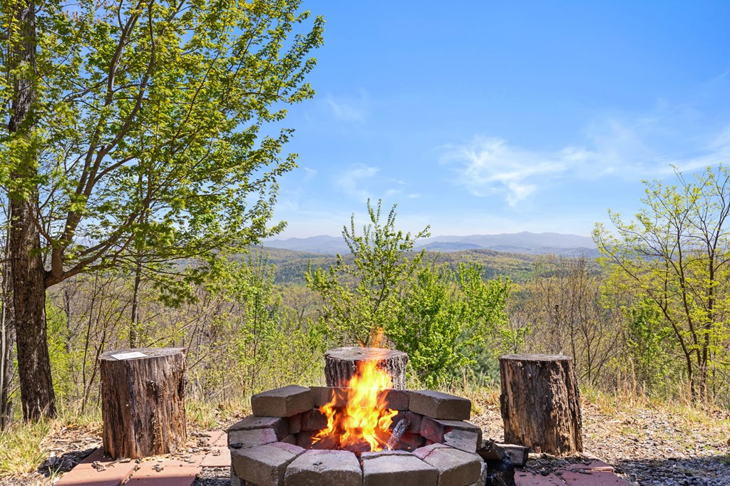 220 Eagles Ridge Morganton, GA 30560 - Photo 9 of 50