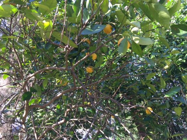 1344 Harbor Oaks Road Jacksonville, FL 32207 - Photo 33 of 40 a view of a tree