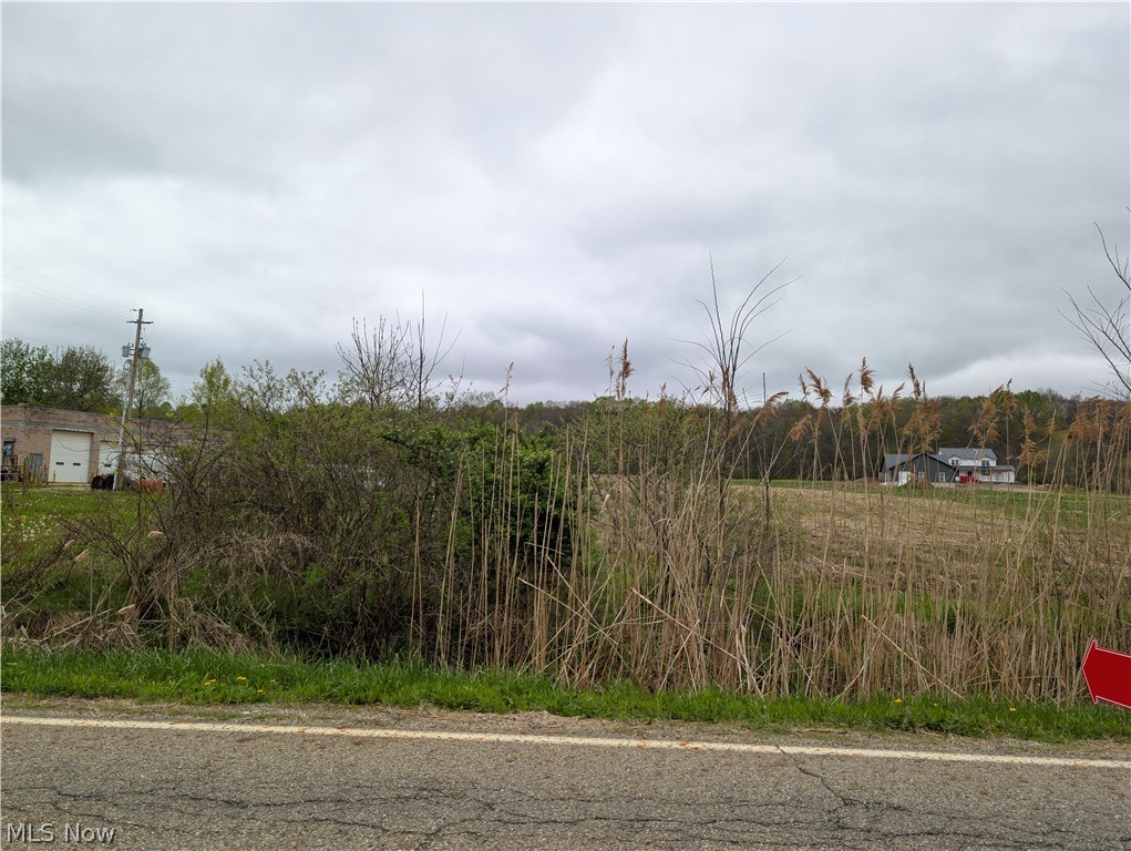 Center Road Garrettsville, OH 44231 - Photo 2 of 3