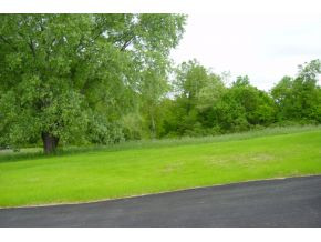 210 Tate Road Bluff City, TN 37618 - Photo 12 of 12 Front Yard