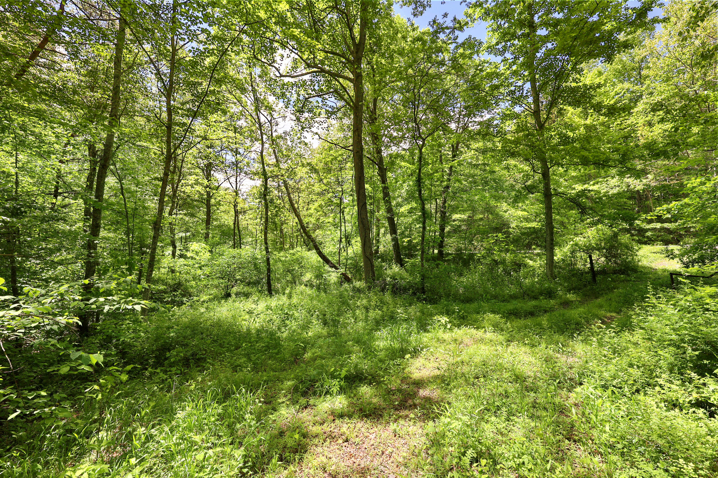 9999 Long Branch Road London, KY 40741 - Photo 13 of 30 8_pend7172