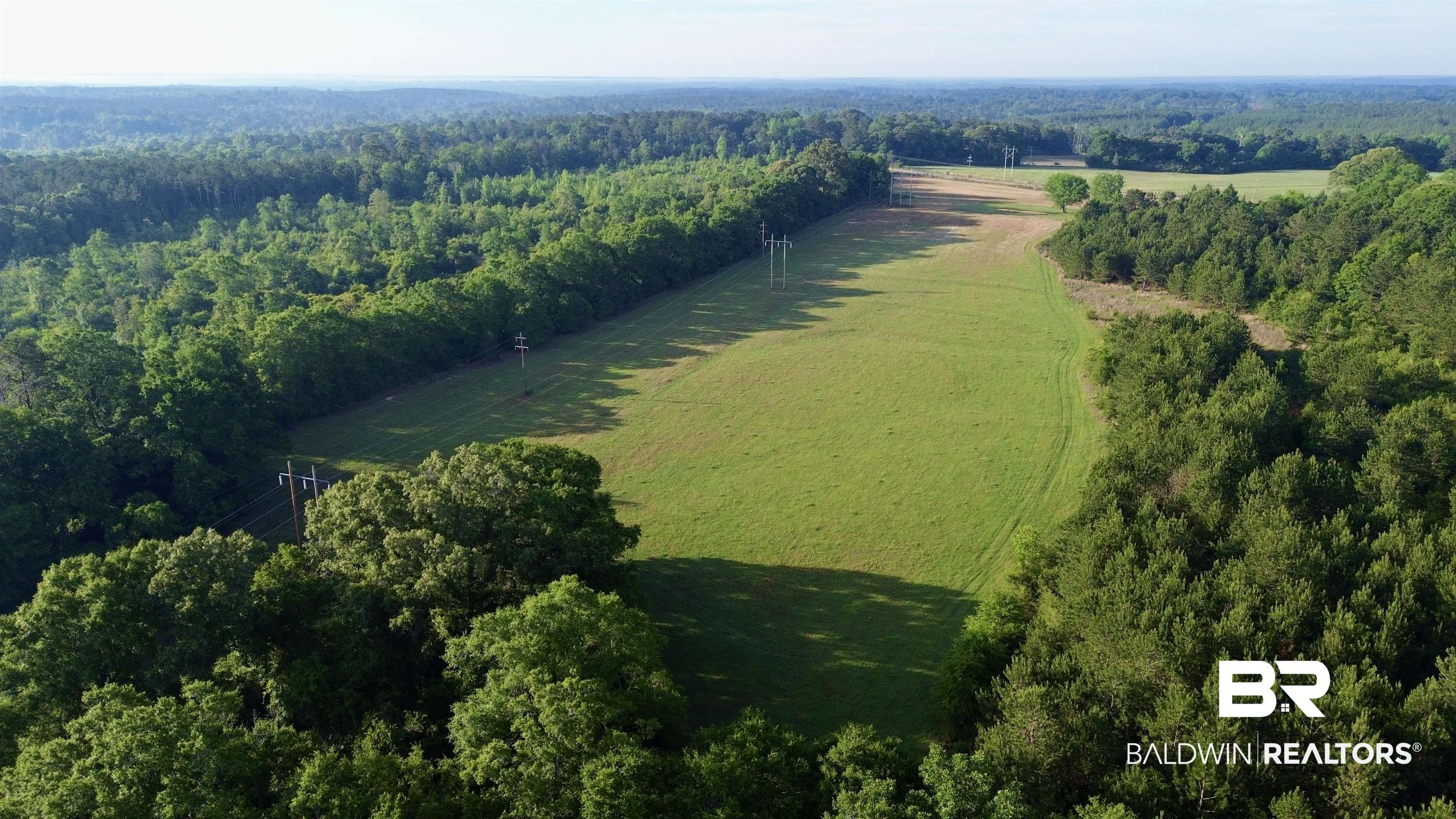 0 Joe Reeves Road Castleberry, AL 36432 - Photo 4 of 14