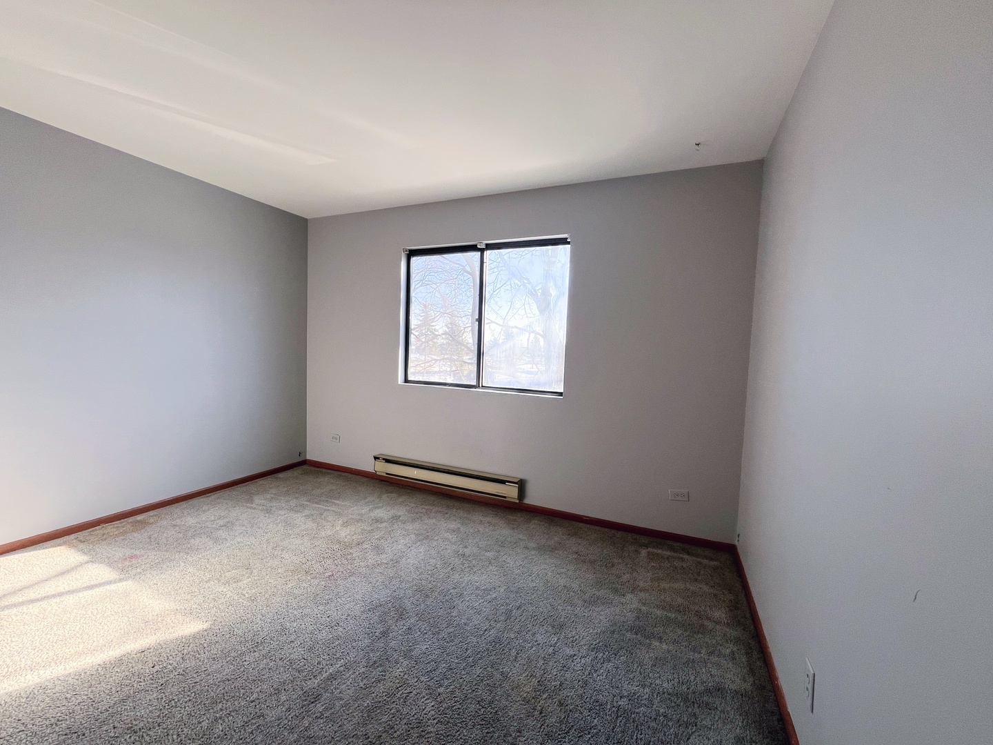 615 South Virginia Road, Unit 204 Crystal Lake, IL 60014 - Photo 5 of 6