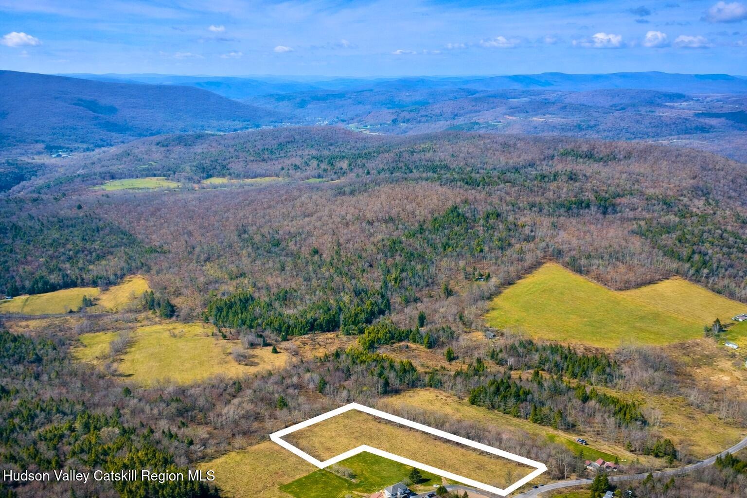 Tbd Hogg Mountain Road Fleischmanns, NY 12430 - Photo 7 of 22 #7