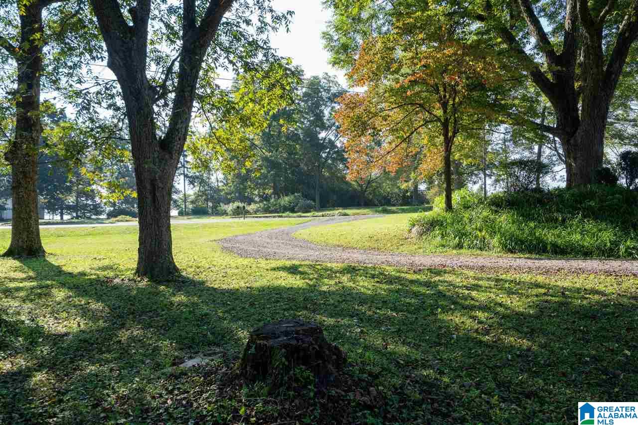 1697 Robin Hill Road Oneonta, AL 35121 - Photo 35 of 50