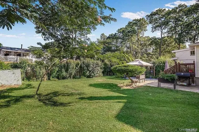 a view of a park with plants and a bench