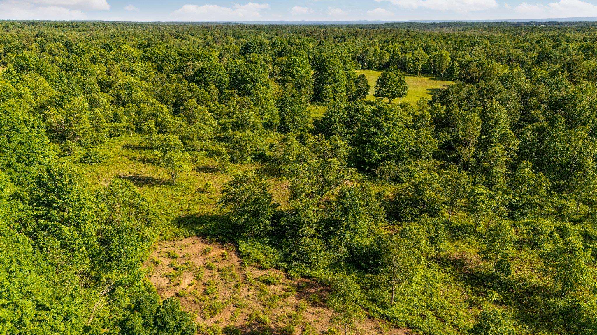Parcels B Sands Road Buckley, MI 49620 - Photo 35 of 53
