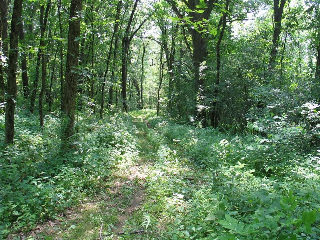 0 Bowman Road Bridgeville, PA 15017 - Photo 2 of 5