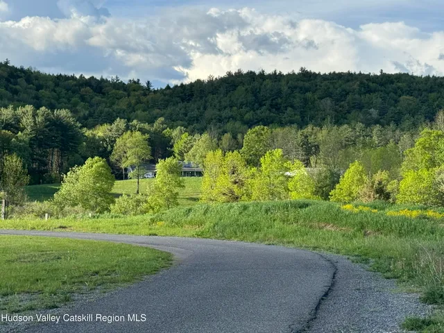 a view of a garden with a lake