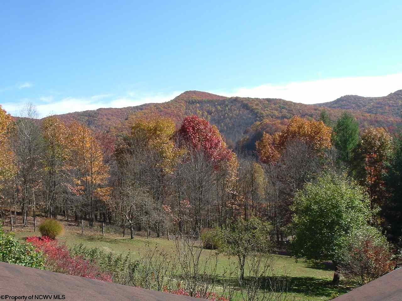1 Rt Mill Creek, WV 26280 - Photo 19 of 20 Gallery Image 19