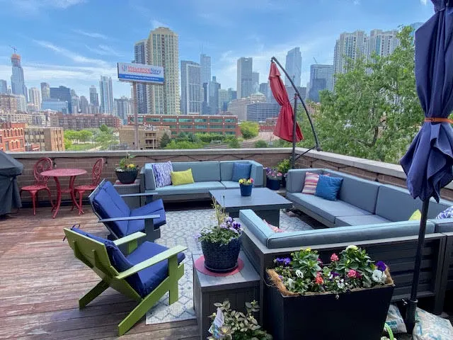 a room with lots of furniture and a potted plant