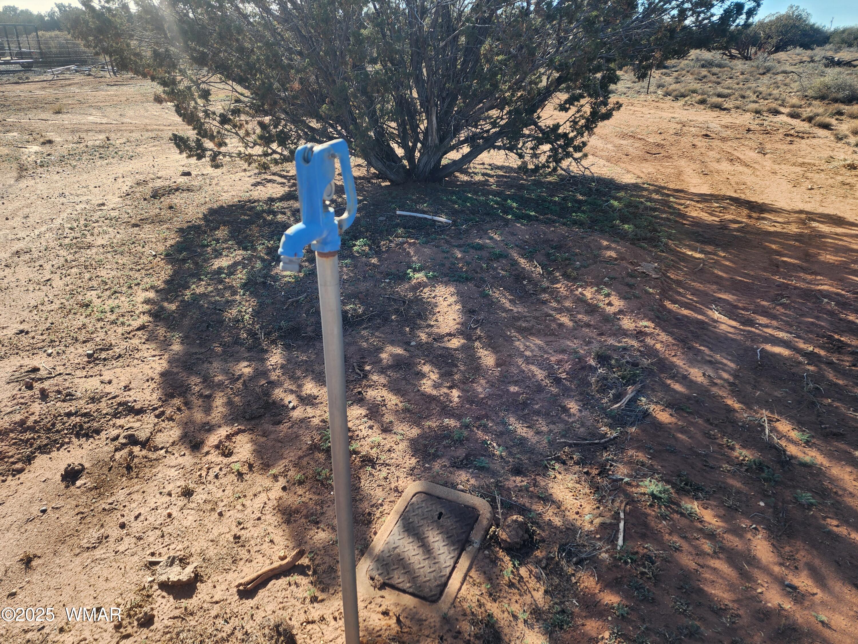 4726 Hay Hollow Road Snowflake, AZ 85937 - Photo 4 of 14 a street view with large trees