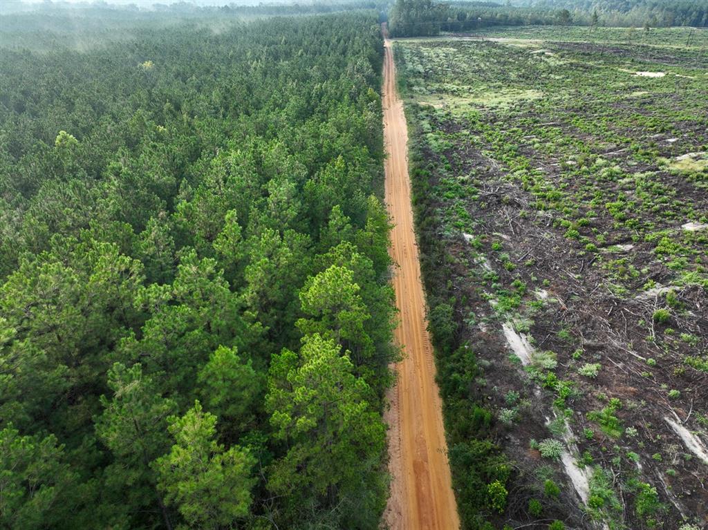 2 Red Rock Road Robeline, LA 71469 - Photo 2 of 16 a view of a yard with plants